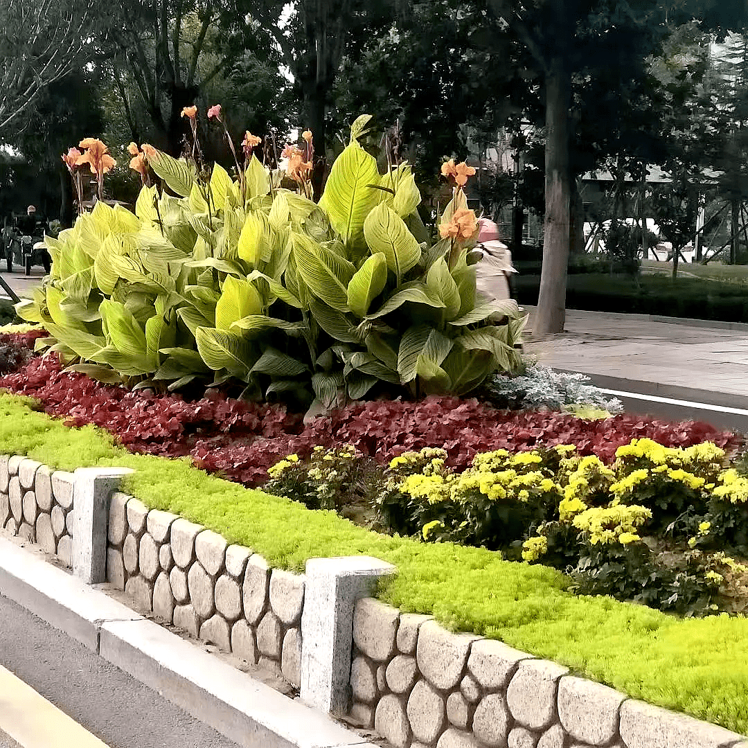 壹号娱乐 - NG大舞台,有梦你就来