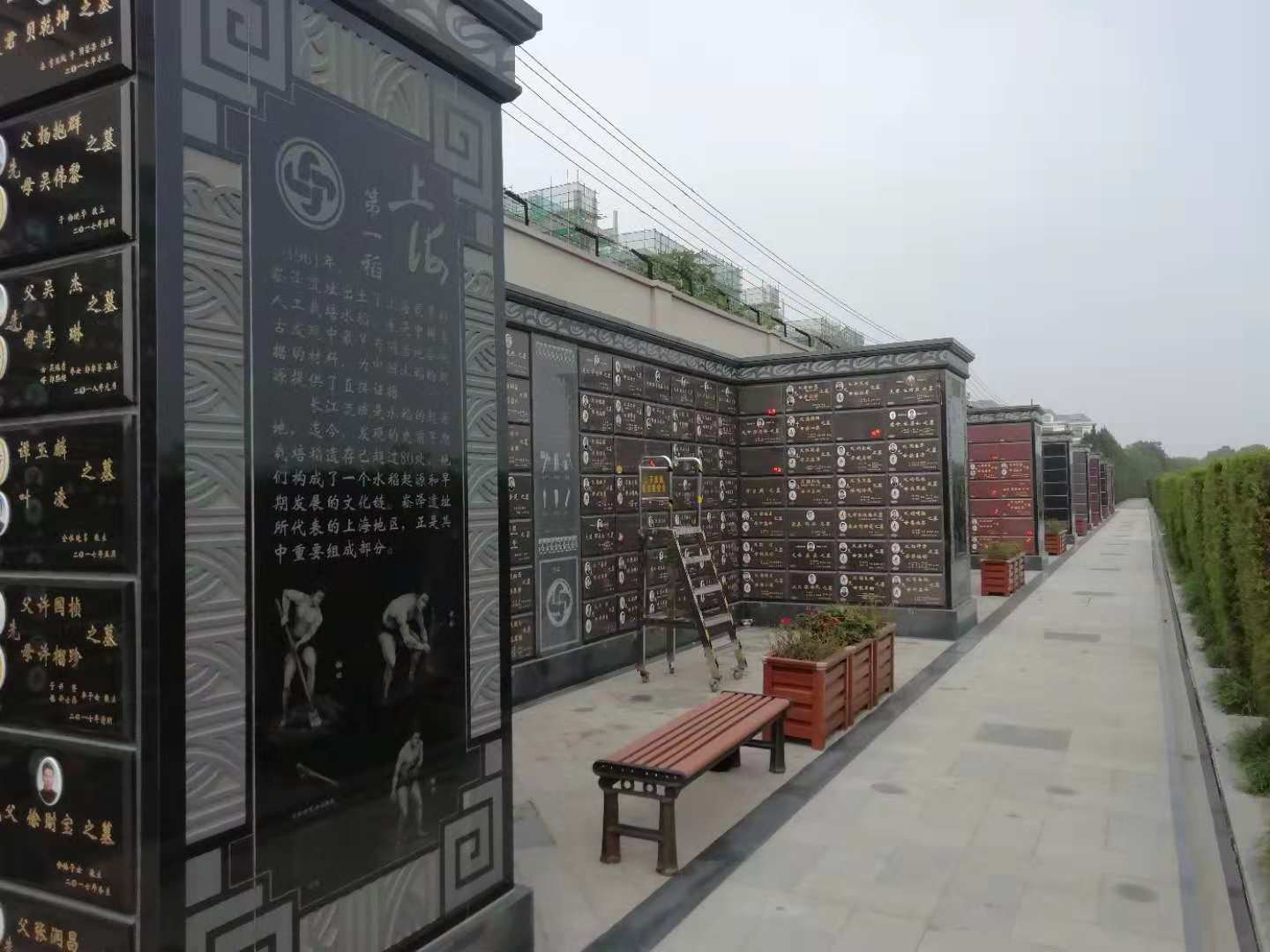 壹号娱乐 - NG大舞台,有梦你就来