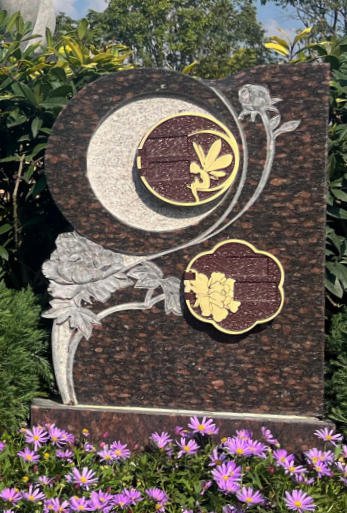 壹号娱乐 - NG大舞台,有梦你就来