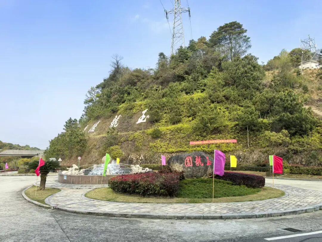 1-260403101126353 壹号娱乐 - NG大舞台,有梦你就来