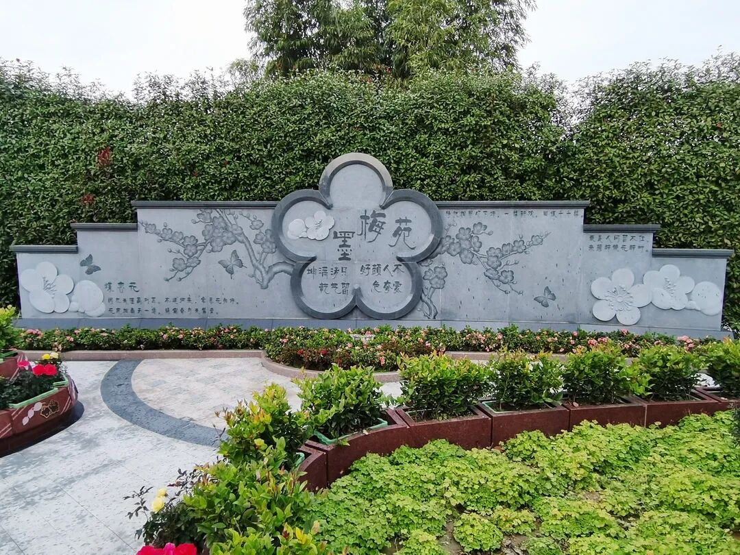 1-26041314520R20 壹号娱乐 - NG大舞台,有梦你就来