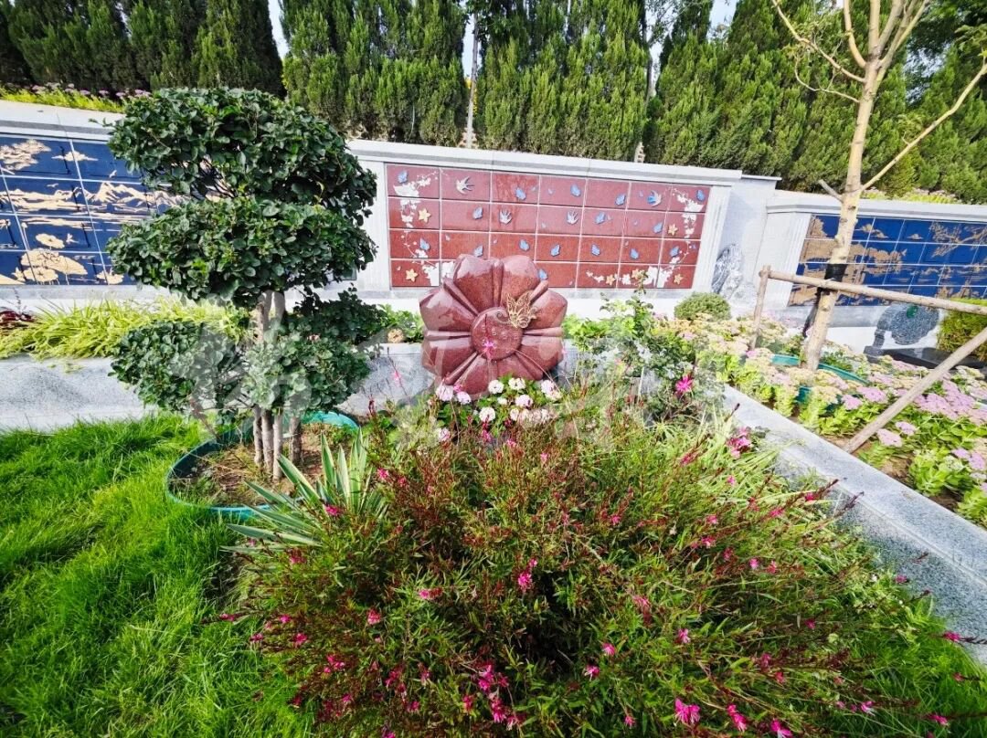 1-260423092050c5 壹号娱乐 - NG大舞台,有梦你就来