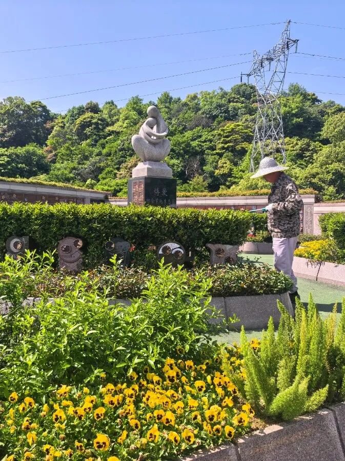 1-26050PS2159A 壹号娱乐 - NG大舞台,有梦你就来