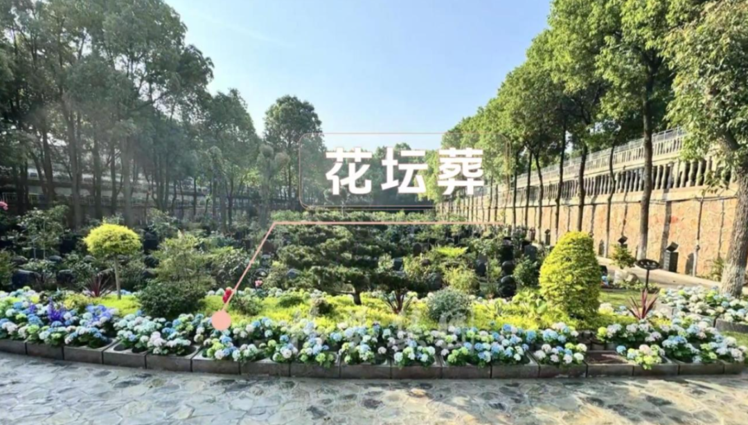 1-260521150550W0 壹号娱乐 - NG大舞台,有梦你就来