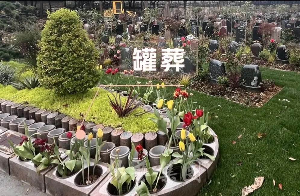 1-26052115062L00 壹号娱乐 - NG大舞台,有梦你就来