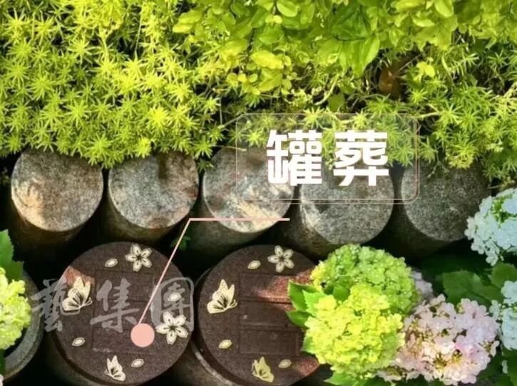 1-260521150H13V 壹号娱乐 - NG大舞台,有梦你就来